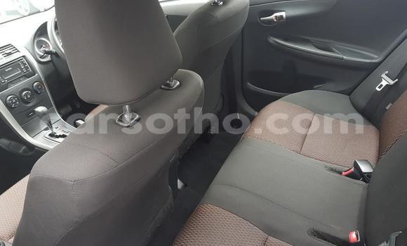 Acheter Occasion Voiture Toyota Corolla Bleu à Maputsoe, Leribe Acheter Occasion Voiture Toyota Corolla Bleu à Maputsoe, Leribe