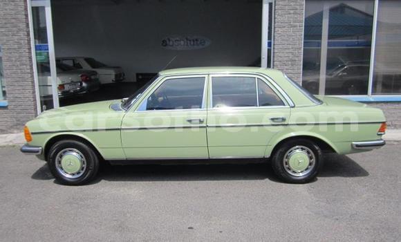 اشتري مستعمل Mercedes-Benz E-klasse Green سيارة في Roma في Maseru اشتري مستعمل Mercedes-Benz E-klasse Green سيارة في Roma في Maseru