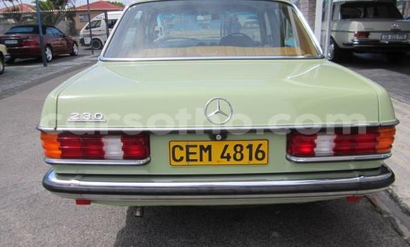 اشتري مستعمل Mercedes-Benz E-klasse Green سيارة في Roma في Maseru اشتري مستعمل Mercedes-Benz E-klasse Green سيارة في Roma في Maseru