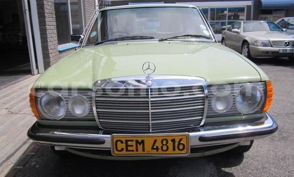 اشتري مستعمل Mercedes-Benz E-klasse Green سيارة في Roma في Maseru اشتري مستعمل Mercedes-Benz E-klasse Green سيارة في Roma في Maseru