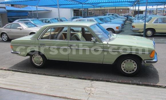 اشتري مستعمل Mercedes-Benz E-klasse Green سيارة في Roma في Maseru اشتري مستعمل Mercedes-Benz E-klasse Green سيارة في Roma في Maseru