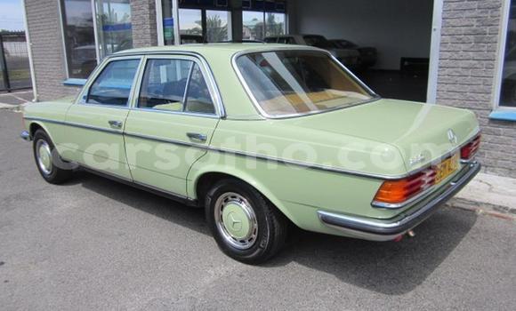 اشتري مستعمل Mercedes-Benz E-klasse Green سيارة في Roma في Maseru اشتري مستعمل Mercedes-Benz E-klasse Green سيارة في Roma في Maseru