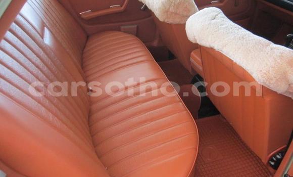 اشتري مستعمل Mercedes-Benz E-klasse Green سيارة في Roma في Maseru اشتري مستعمل Mercedes-Benz E-klasse Green سيارة في Roma في Maseru