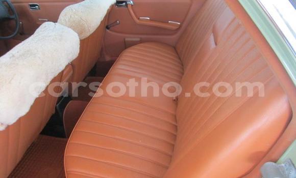 اشتري مستعمل Mercedes-Benz E-klasse Green سيارة في Roma في Maseru اشتري مستعمل Mercedes-Benz E-klasse Green سيارة في Roma في Maseru