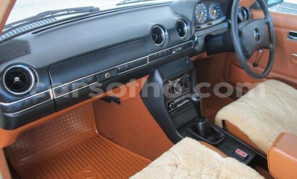 اشتري مستعمل Mercedes-Benz E-klasse Green سيارة في Roma في Maseru اشتري مستعمل Mercedes-Benz E-klasse Green سيارة في Roma في Maseru