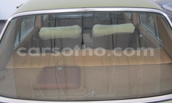 اشتري مستعمل Mercedes-Benz E-klasse Green سيارة في Roma في Maseru اشتري مستعمل Mercedes-Benz E-klasse Green سيارة في Roma في Maseru