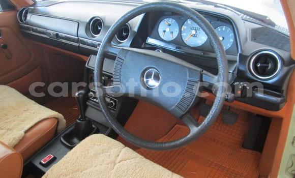 اشتري مستعمل Mercedes-Benz E-klasse Green سيارة في Roma في Maseru اشتري مستعمل Mercedes-Benz E-klasse Green سيارة في Roma في Maseru