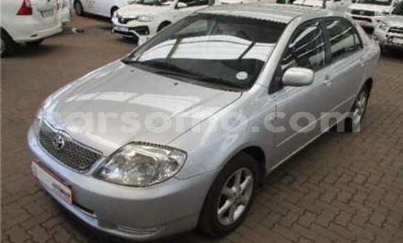 Sayi Na hannu Toyota Corolla White Mota in Butha Buthe a Butha-Buthe Sayi Na hannu Toyota Corolla White Mota in Butha Buthe a Butha-Buthe