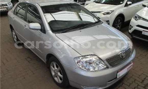 Sayi Na hannu Toyota Corolla White Mota in Butha Buthe a Butha-Buthe Sayi Na hannu Toyota Corolla White Mota in Butha Buthe a Butha-Buthe