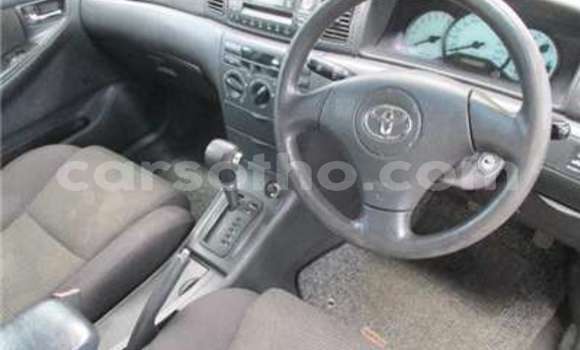 Sayi Na hannu Toyota Corolla White Mota in Butha Buthe a Butha-Buthe Sayi Na hannu Toyota Corolla White Mota in Butha Buthe a Butha-Buthe