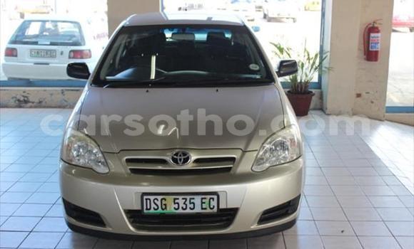 اشتري مستعمل Toyota Runx Other سيارة في Roma في Maseru اشتري مستعمل Toyota Runx Other سيارة في Roma في Maseru