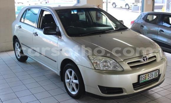 اشتري مستعمل Toyota Runx Other سيارة في Roma في Maseru اشتري مستعمل Toyota Runx Other سيارة في Roma في Maseru