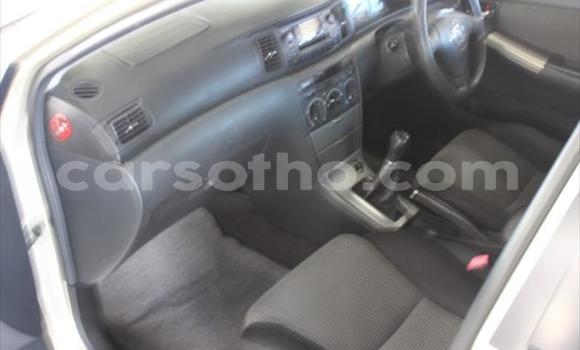 اشتري مستعمل Toyota Runx Other سيارة في Roma في Maseru اشتري مستعمل Toyota Runx Other سيارة في Roma في Maseru