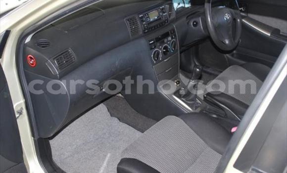 اشتري مستعمل Toyota Runx Other سيارة في Roma في Maseru اشتري مستعمل Toyota Runx Other سيارة في Roma في Maseru