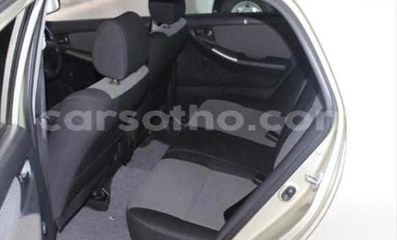 اشتري مستعمل Toyota Runx Other سيارة في Roma في Maseru اشتري مستعمل Toyota Runx Other سيارة في Roma في Maseru