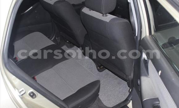 اشتري مستعمل Toyota Runx Other سيارة في Roma في Maseru اشتري مستعمل Toyota Runx Other سيارة في Roma في Maseru