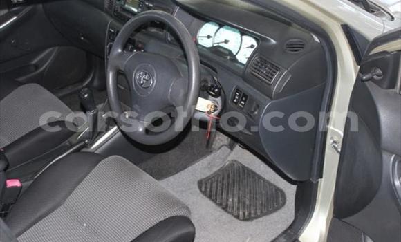 اشتري مستعمل Toyota Runx Other سيارة في Roma في Maseru اشتري مستعمل Toyota Runx Other سيارة في Roma في Maseru