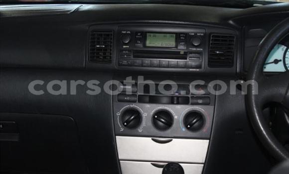 اشتري مستعمل Toyota Runx Other سيارة في Roma في Maseru اشتري مستعمل Toyota Runx Other سيارة في Roma في Maseru