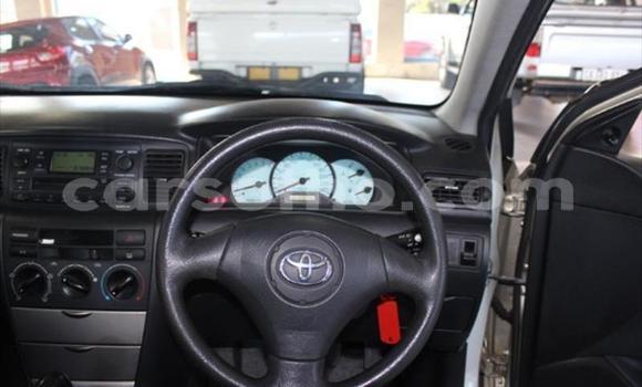 اشتري مستعمل Toyota Runx Other سيارة في Roma في Maseru اشتري مستعمل Toyota Runx Other سيارة في Roma في Maseru