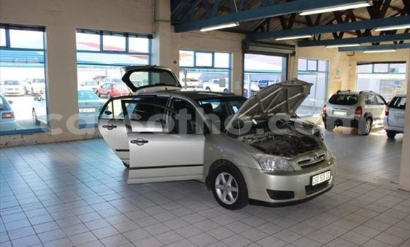 اشتري مستعمل Toyota Runx Other سيارة في Roma في Maseru اشتري مستعمل Toyota Runx Other سيارة في Roma في Maseru