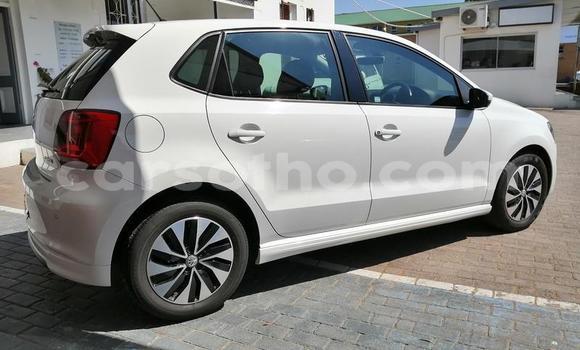 اشتري مستعمل Volkswagen Polo White سيارة في Hlotse في Leribe اشتري مستعمل Volkswagen Polo White سيارة في Hlotse في Leribe