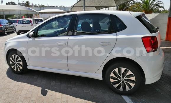 اشتري مستعمل Volkswagen Polo White سيارة في Hlotse في Leribe اشتري مستعمل Volkswagen Polo White سيارة في Hlotse في Leribe