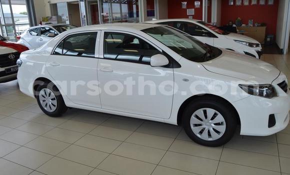اشتري مستعمل Toyota Corolla White سيارة في Roma في Maseru اشتري مستعمل Toyota Corolla White سيارة في Roma في Maseru