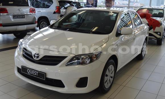 اشتري مستعمل Toyota Corolla White سيارة في Roma في Maseru اشتري مستعمل Toyota Corolla White سيارة في Roma في Maseru
