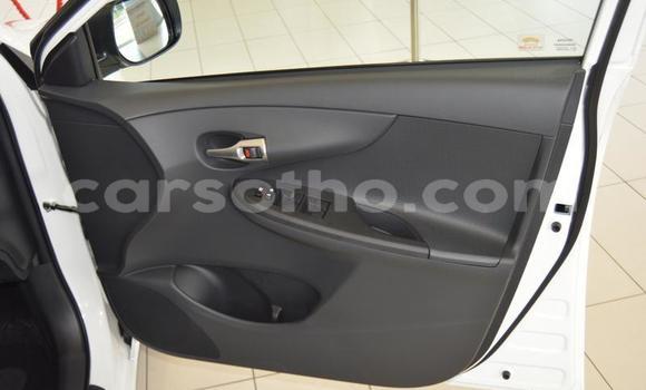 اشتري مستعمل Toyota Corolla White سيارة في Roma في Maseru اشتري مستعمل Toyota Corolla White سيارة في Roma في Maseru