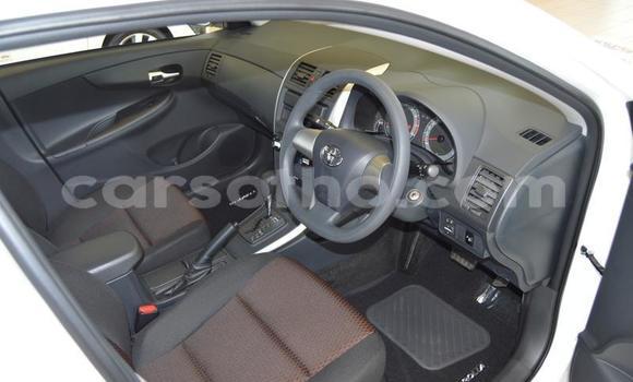اشتري مستعمل Toyota Corolla White سيارة في Roma في Maseru اشتري مستعمل Toyota Corolla White سيارة في Roma في Maseru