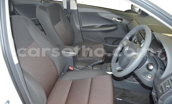 اشتري مستعمل Toyota Corolla White سيارة في Roma في Maseru اشتري مستعمل Toyota Corolla White سيارة في Roma في Maseru