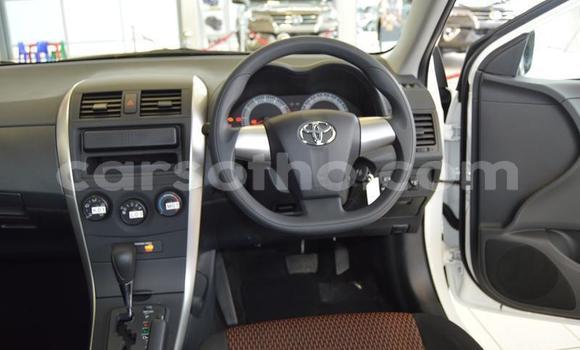 اشتري مستعمل Toyota Corolla White سيارة في Roma في Maseru اشتري مستعمل Toyota Corolla White سيارة في Roma في Maseru