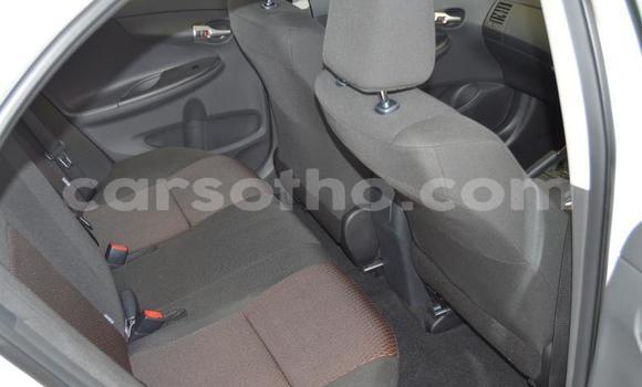 اشتري مستعمل Toyota Corolla White سيارة في Roma في Maseru اشتري مستعمل Toyota Corolla White سيارة في Roma في Maseru