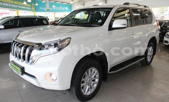 اشتري مستعمل Toyota Prado White سيارة في Maputsoe في Leribe اشتري مستعمل Toyota Prado White سيارة في Maputsoe في Leribe