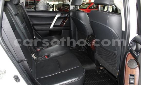 اشتري مستعمل Toyota Prado White سيارة في Maputsoe في Leribe اشتري مستعمل Toyota Prado White سيارة في Maputsoe في Leribe