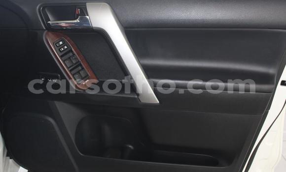 اشتري مستعمل Toyota Prado White سيارة في Maputsoe في Leribe اشتري مستعمل Toyota Prado White سيارة في Maputsoe في Leribe