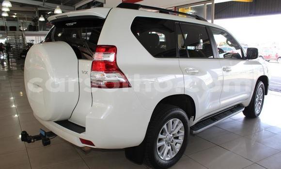 اشتري مستعمل Toyota Prado White سيارة في Maputsoe في Leribe اشتري مستعمل Toyota Prado White سيارة في Maputsoe في Leribe