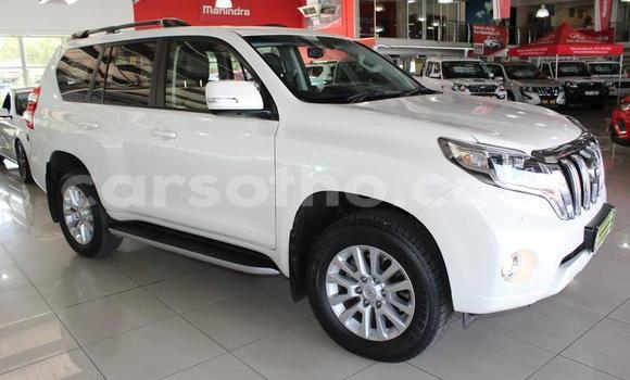 اشتري مستعمل Toyota Prado White سيارة في Maputsoe في Leribe اشتري مستعمل Toyota Prado White سيارة في Maputsoe في Leribe