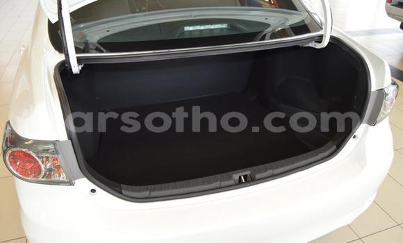 اشتري مستعمل Toyota Corolla White سيارة في Roma في Maseru اشتري مستعمل Toyota Corolla White سيارة في Roma في Maseru