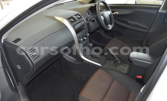 اشتري مستعمل Toyota Corolla White سيارة في Roma في Maseru اشتري مستعمل Toyota Corolla White سيارة في Roma في Maseru