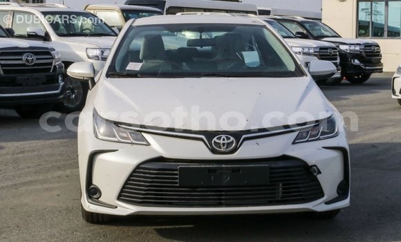 اشتري Imported Toyota Corolla White سيارة في Import - Dubai في Maseru اشتري Imported Toyota Corolla White سيارة في Import - Dubai في Maseru
