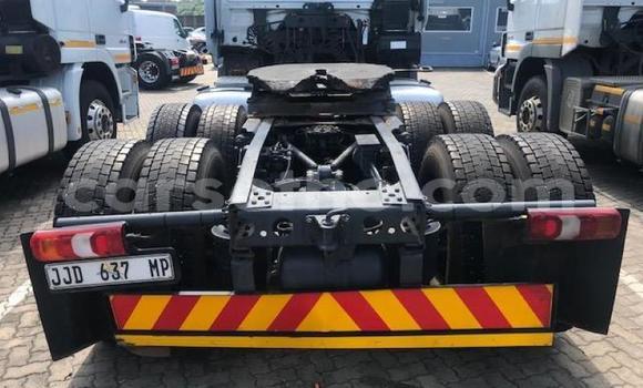 اشتري مستعمل Mercedes‒Benz 2644 White شاحنة في Mohale's Hoek في Mohale's Hoek اشتري مستعمل Mercedes‒Benz 2644 White شاحنة في Mohale's Hoek في Mohale's Hoek