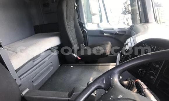 اشتري مستعمل Mercedes‒Benz 2644 White شاحنة في Mohale's Hoek في Mohale's Hoek اشتري مستعمل Mercedes‒Benz 2644 White شاحنة في Mohale's Hoek في Mohale's Hoek