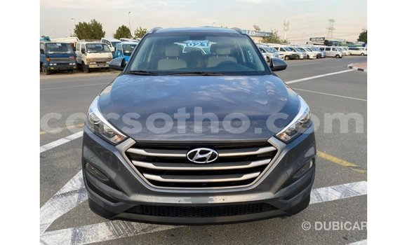 Buy Import Hyundai Tucson White Car in Import - Dubai in Maseru Buy Import Hyundai Tucson White Car in Import - Dubai in Maseru