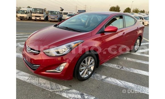 Buy Import Hyundai Elantra Red Car in Import - Dubai in Maseru Buy Import Hyundai Elantra Red Car in Import - Dubai in Maseru