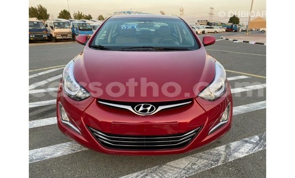 Buy Import Hyundai Elantra Red Car in Import - Dubai in Maseru Buy Import Hyundai Elantra Red Car in Import - Dubai in Maseru