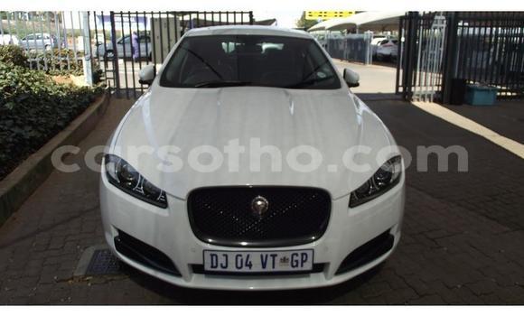 Sayi Na hannu Jaguar XF White Mota in Maseru a Maseru Sayi Na hannu Jaguar XF White Mota in Maseru a Maseru