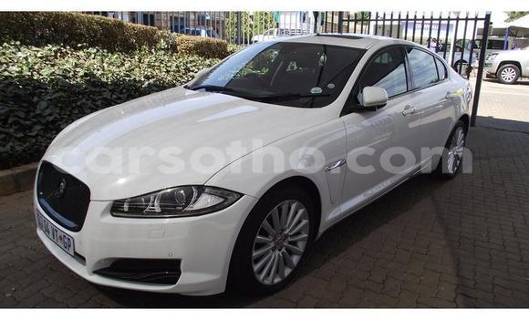 Sayi Na hannu Jaguar XF White Mota in Maseru a Maseru Sayi Na hannu Jaguar XF White Mota in Maseru a Maseru