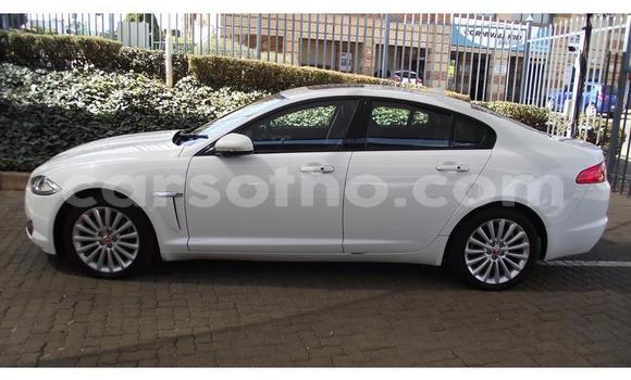 Sayi Na hannu Jaguar XF White Mota in Maseru a Maseru Sayi Na hannu Jaguar XF White Mota in Maseru a Maseru