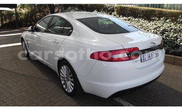 Sayi Na hannu Jaguar XF White Mota in Maseru a Maseru Sayi Na hannu Jaguar XF White Mota in Maseru a Maseru